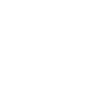 wordpress-skilled-freelance-digital-marketer-in-malappuram